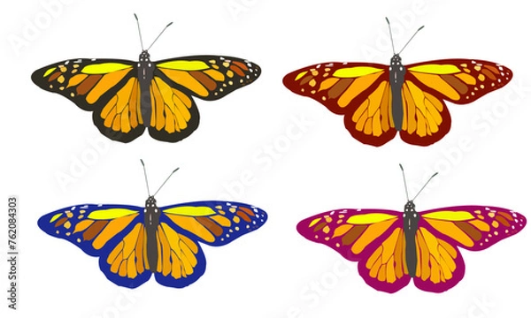 Obraz Colorful butterflies