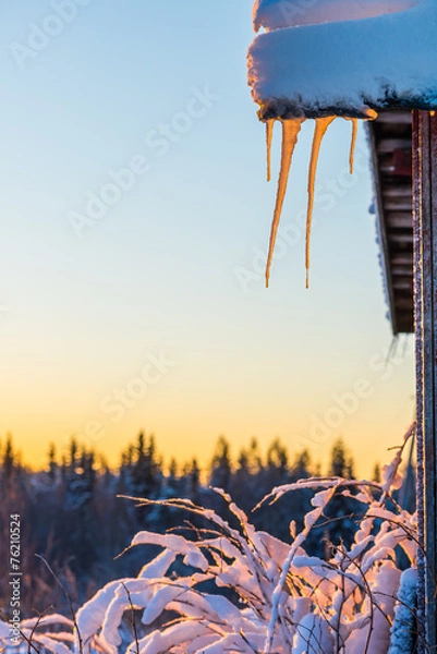 Obraz Icicles on sunrise