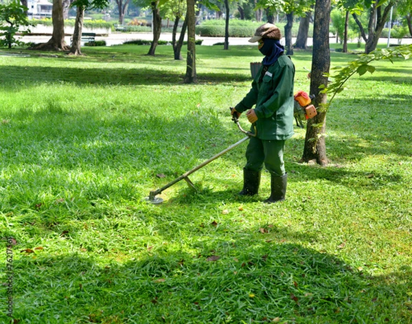 Obraz mowing machine