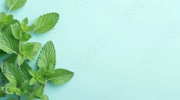 Fototapeta Mint Leaves Decoration on a White Background. Negative space. Generative AI