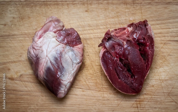 Obraz Lamb hearts