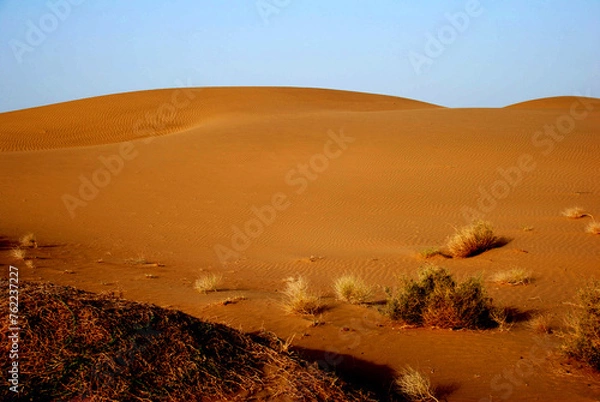 Obraz Jaisalmer Desert