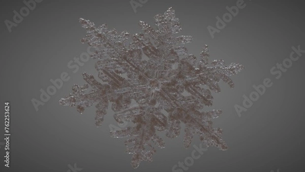Fototapeta SnowFlake Perspective 2
( 3D Model , 3D Rendering , 3D Illustration )