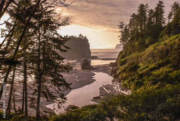 Obraz Ruby Beach Landscape