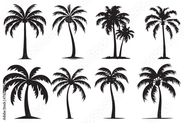 Fototapeta black silhouette Palm trees vector set