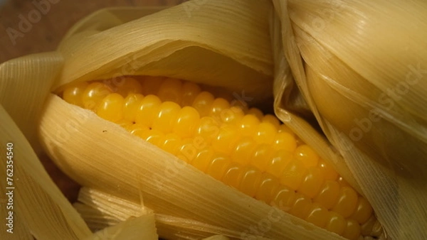 Fototapeta close up of corn