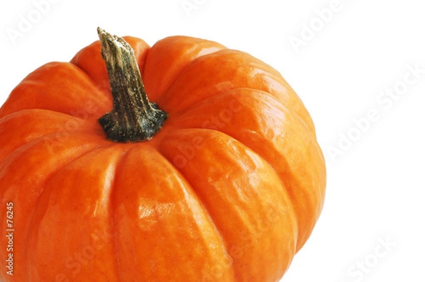 Obraz mini pumpkin