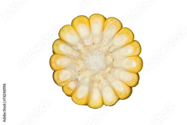Obraz Half fresh corn. Half corn isolated on transparent background