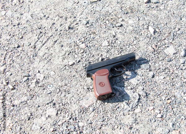 Obraz the gun on the earth