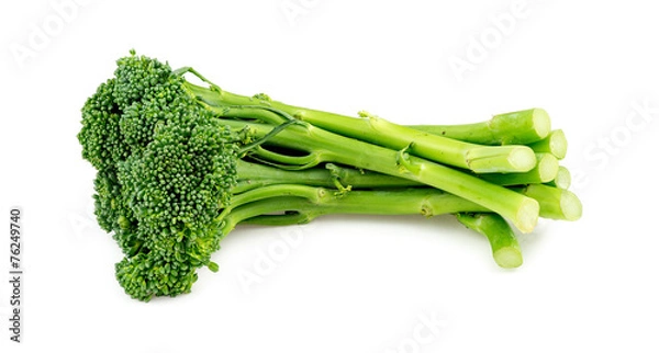 Obraz Broccoli Baby Broccolini