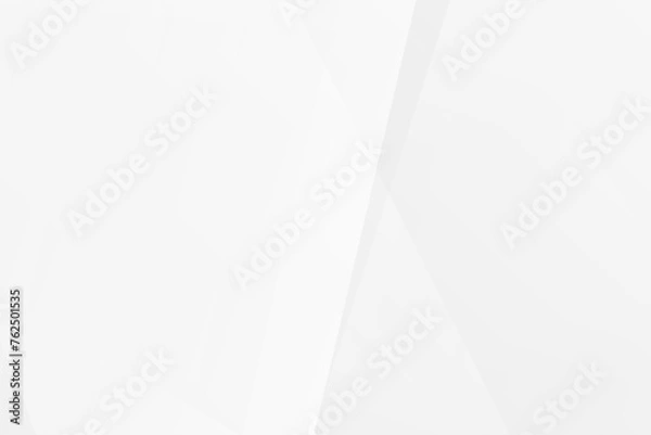 Fototapeta Abstract white and grey on light silver background modern design. Vector illustration eps 10.