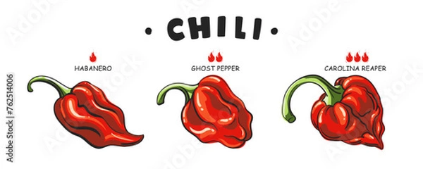 Fototapeta Set Spicy food or sauce taste scale indicators. Illustration red hot chili pepper. Carolina reaper, ghost pepper, habanero. Vector peppers with fire flames. Extra and mild taste