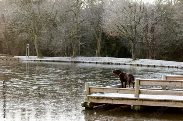 Fototapeta on the icy deck