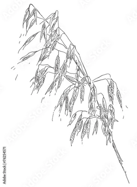 Obraz Hand drawing flower