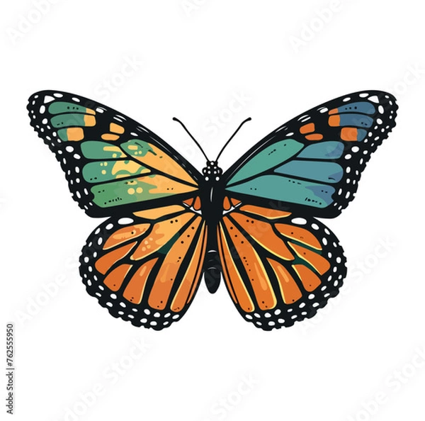 Fototapeta monarch butterfly with blues silver green