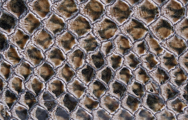 Obraz Crocodile Leather background and texture