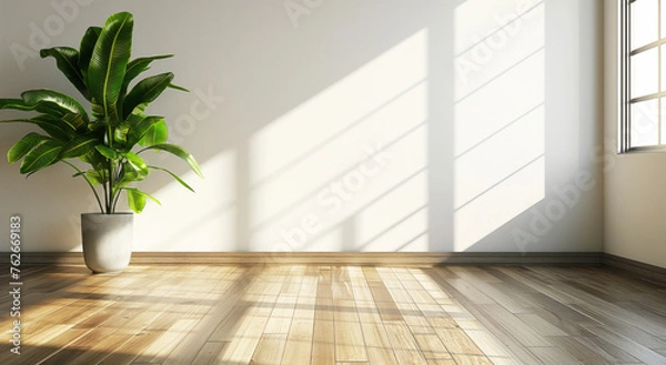 Fototapeta Potted tropical plant on wooden floor in front of white wall with window shadows, in big empty room