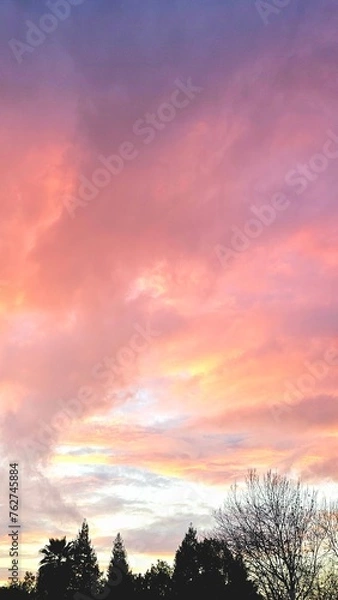 Obraz sunset over the field