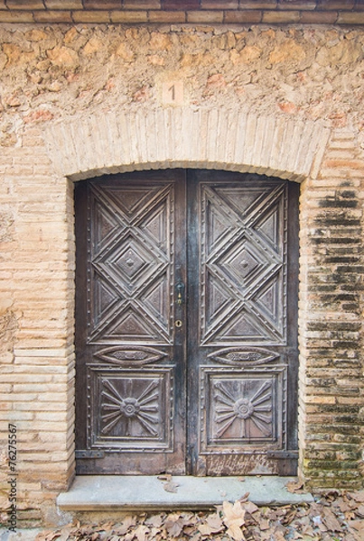 Obraz old door
