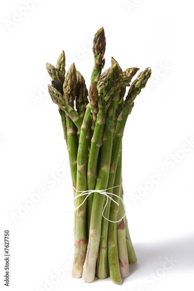 Obraz asperges