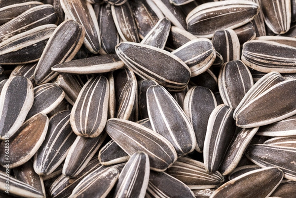 Obraz sunflower seeds