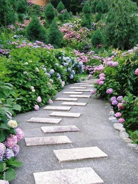 Obraz 紫陽花が咲いている善峯寺の風景