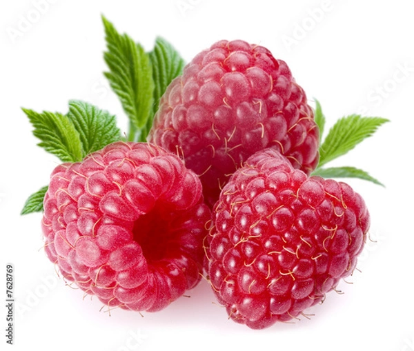 Obraz Maliny