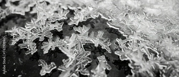 Obraz The intricate patterns created by ice crystals on a frozen lake,