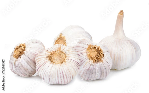 Obraz Garlic isolated on white background