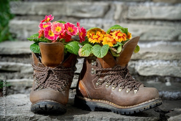 Fototapeta beautiful spring and easter decoration in the garden with colorful primeroses in walking boots