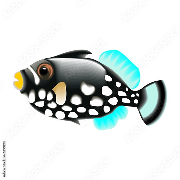 Obraz fish