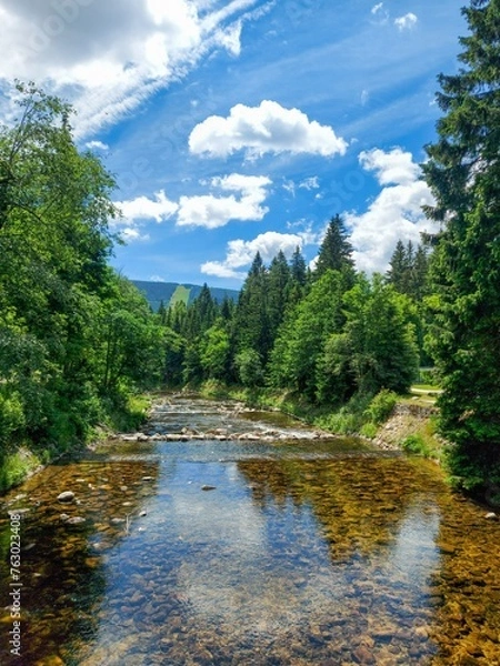 Obraz river in the forest