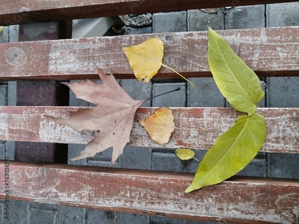Fototapeta Autumn leaves on a bench. Maple leaf