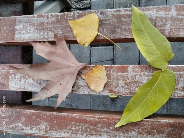 Obraz Autumn leaves on a bench. Maple leaf