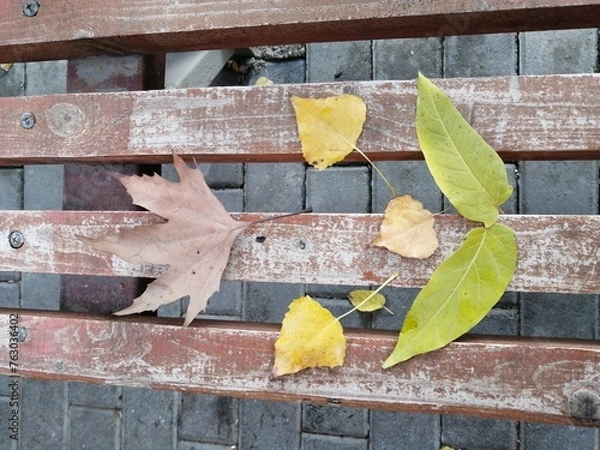Obraz Autumn leaves on a bench. Maple leaf