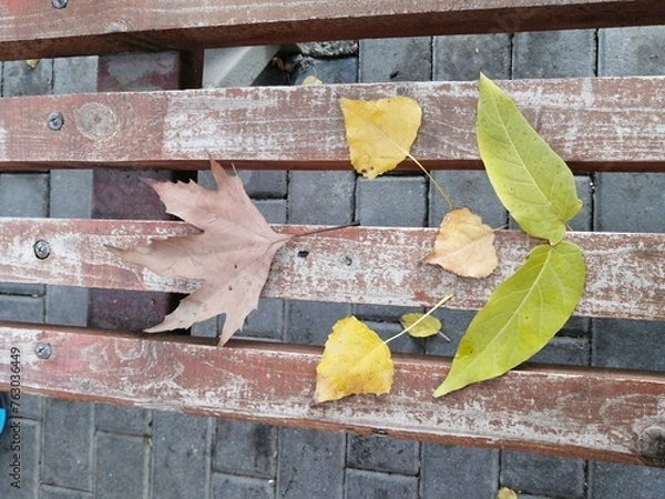 Fototapeta Autumn leaves on a bench. Maple leaf