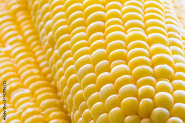 Obraz close up fresh corn on white background