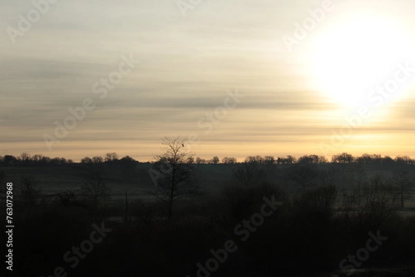 Obraz Maître Corbeau sur son arbre perché...