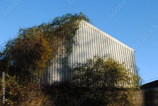 Obraz Modern Metal Clad Industrial Building Overgrown with Climbing Plants seen against Blue Sky 