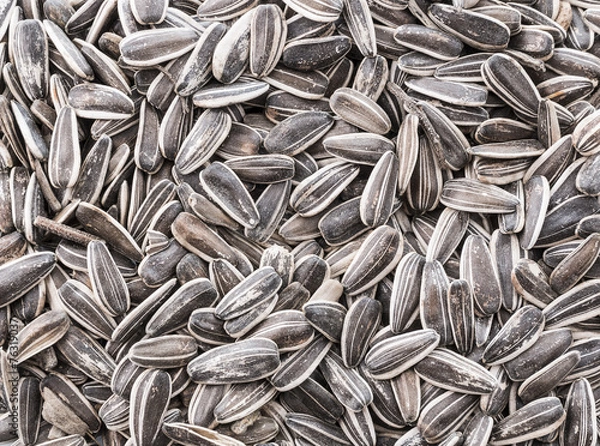 Obraz sunflower seeds