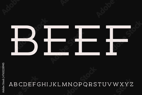 Obraz Classic design display font vector