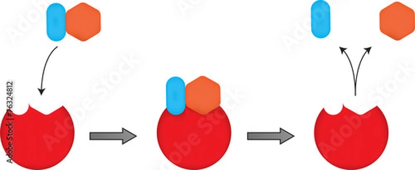 Fototapeta The Lock and Key Mechanism