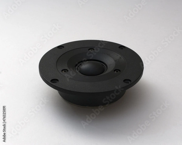 Fototapeta tweeter speaker