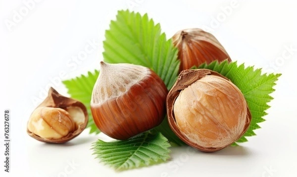Fototapeta Hazelnuts isolated over white background.