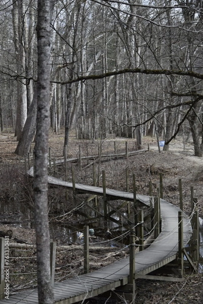 Fototapeta Pathway into the forest