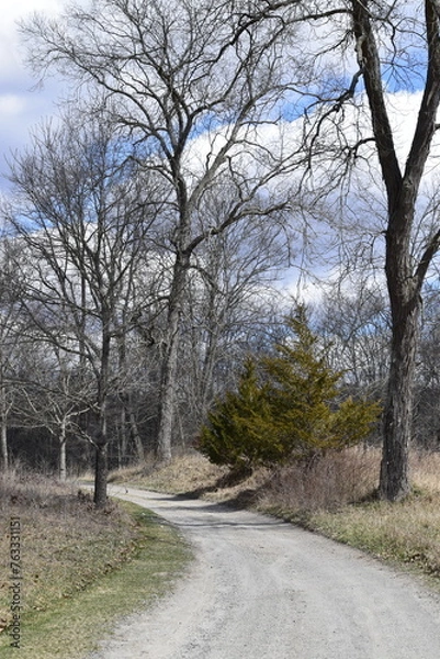 Fototapeta Path through the park