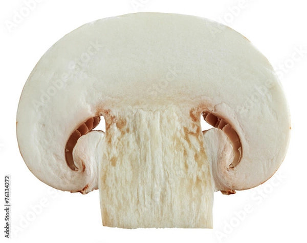 Obraz Slice of mushroom isolated on white