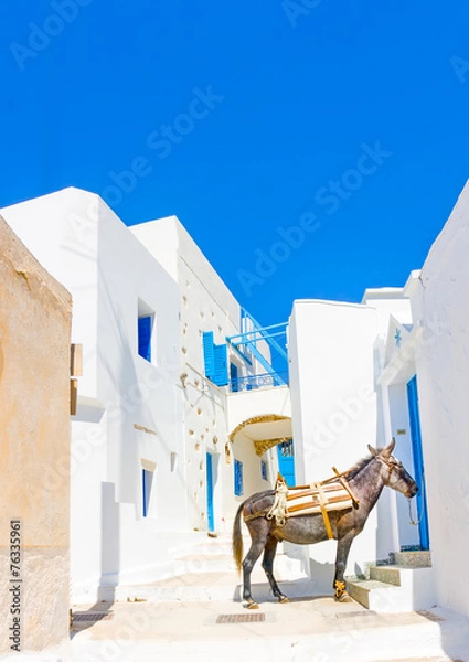 Fototapeta mule sitting in the street in Langada in Amorgos island Greece