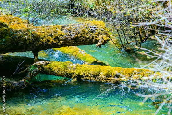 Fototapeta Jiuzhaigou Valley, Aba Qiang and Tibetan Autonomous Prefecture, Sichuan Province - Streams and waterfalls in the forest