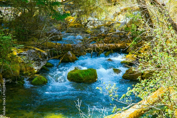 Fototapeta Jiuzhaigou Valley, Aba Qiang and Tibetan Autonomous Prefecture, Sichuan Province - Streams and waterfalls in the forest